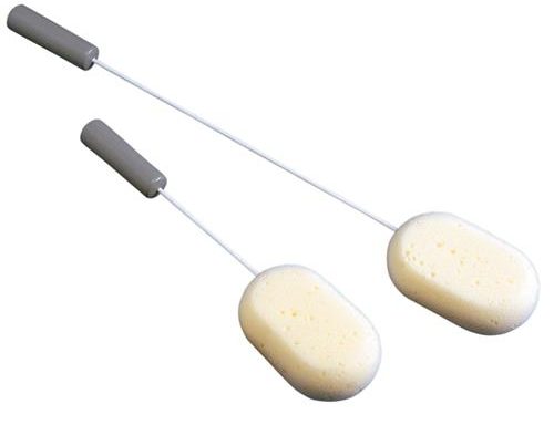 Long Handled Sponge