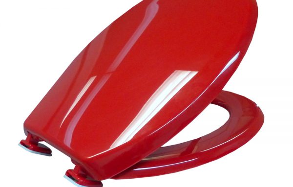 Bemis Coloured Toilet Seat